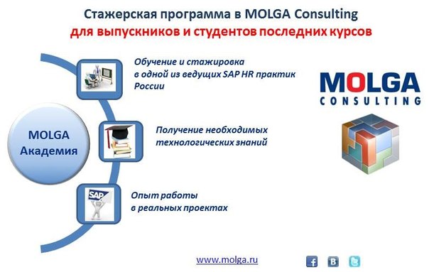 Стажерская программа MOLGA Consulting