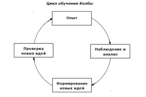 Цикл тренинга. Модель Дэвида колба. Этапы цикла д. колба. Цикл колба схема. Стадии цикла обучения колба.